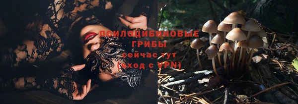 марки lsd Балахна