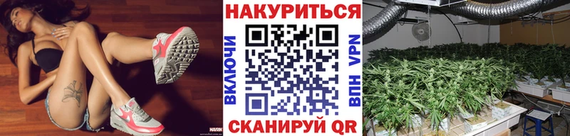 Купить где  Славск  МАРИХУАНА Amnesia 